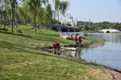 創建文明城 我們在行動